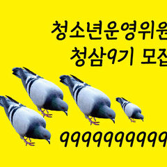 [종료] 신나 운영 함께할 9~24세 모여라!
