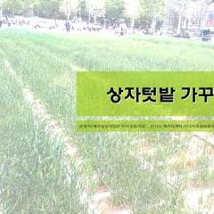 옥상텃밭교실 1차 강의 자료입니다